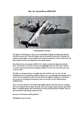 A preview of a PDF biography for Bows, Ronald